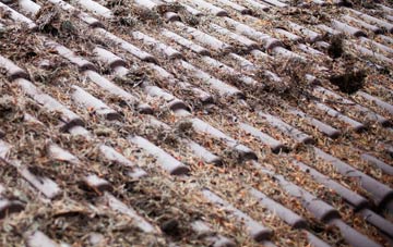 Carrshield roof cleaning companies