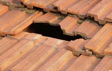 roof repair Carrshield, Northumberland
