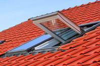 Carrshield roof window