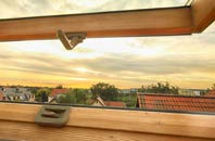 rated Carrshield roof window companies